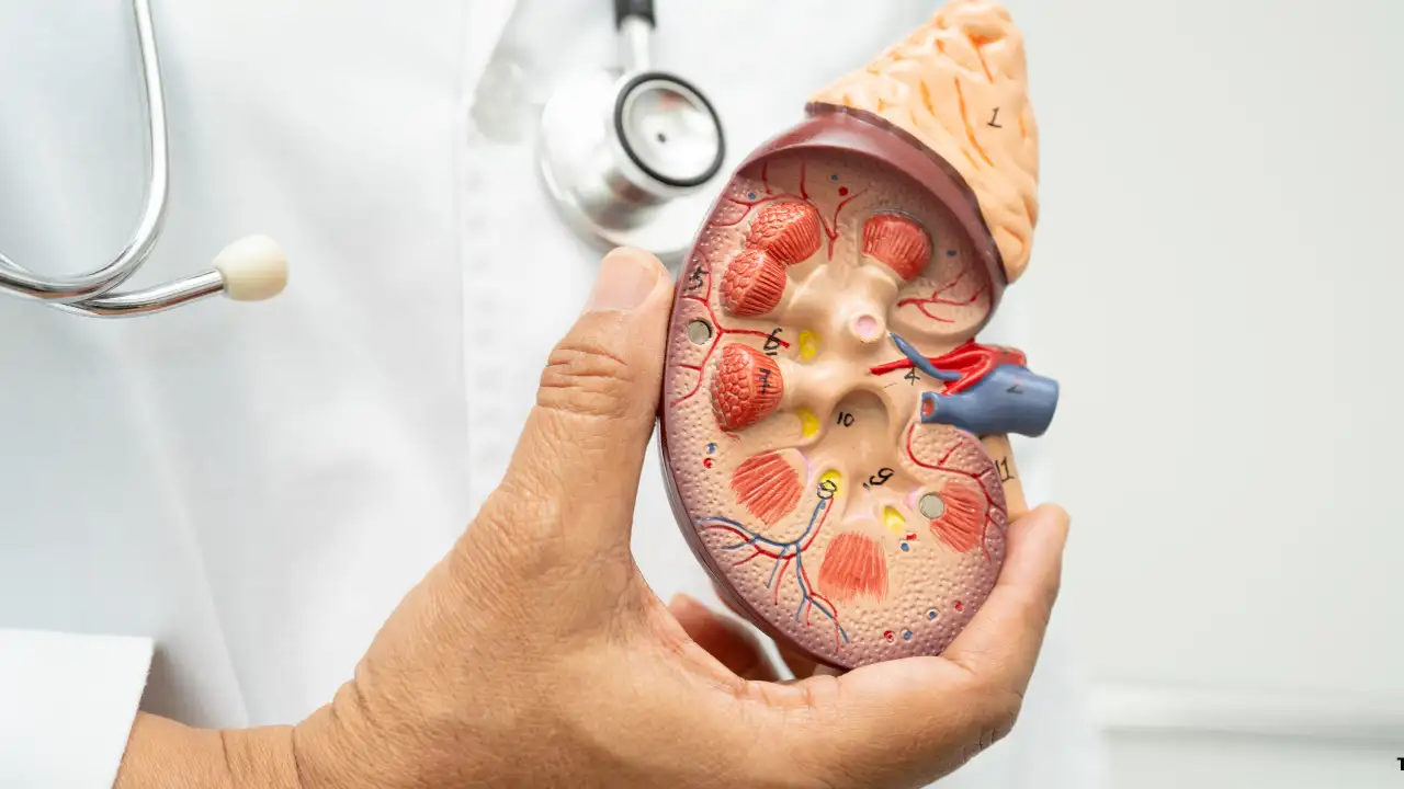 Cuidado del paciente renal